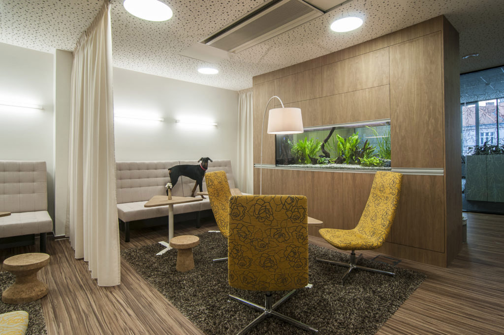 V kategorii Zdravá kancelář byla oceněna brněnská společnost KENTICO