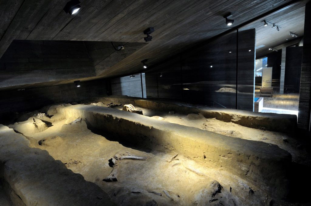 46_archeopark-pavlov__10 (Custom)