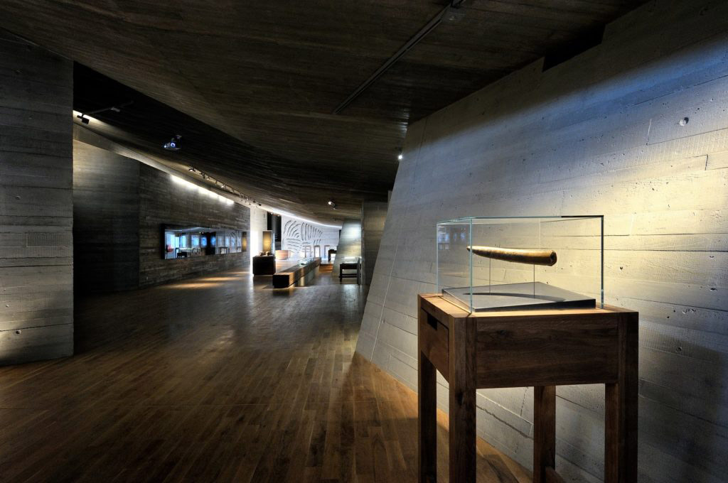 46_archeopark-pavlov__6 (Custom)