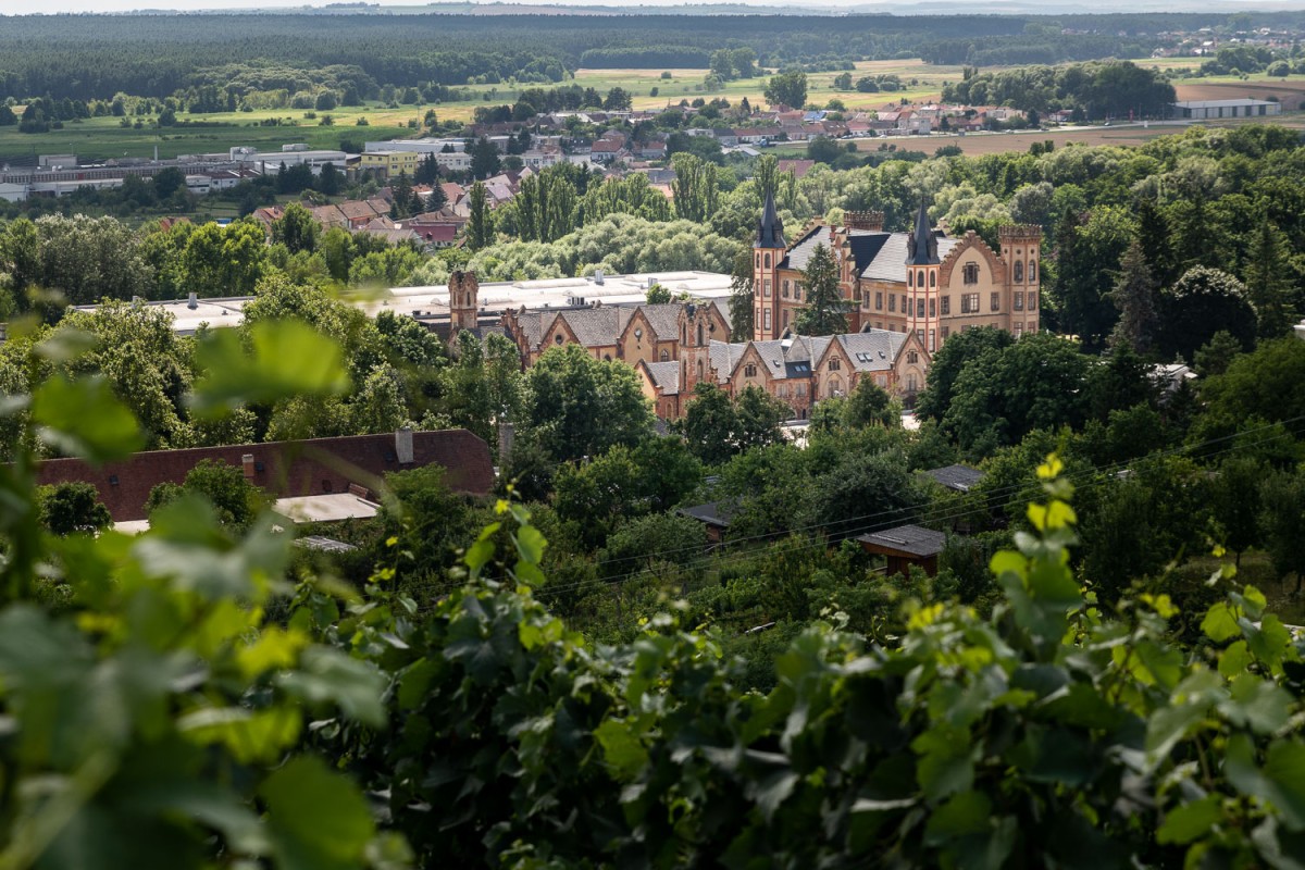Možná budoucnost zámku v Bzenci: interaktivní muzeum vína