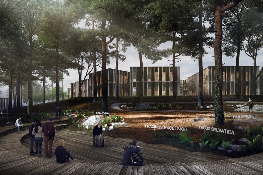 Kancelářská krajina od studia Chybík+Krištof pro Lesy ČR