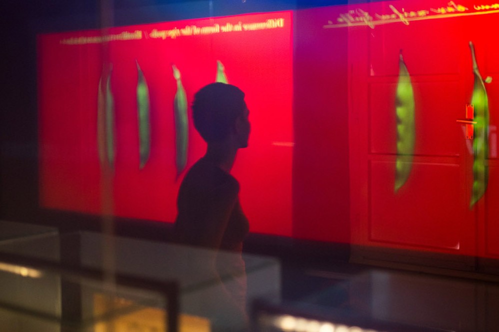 Mendelovo muzeum otevřelo futuristickou expozici od Fránka