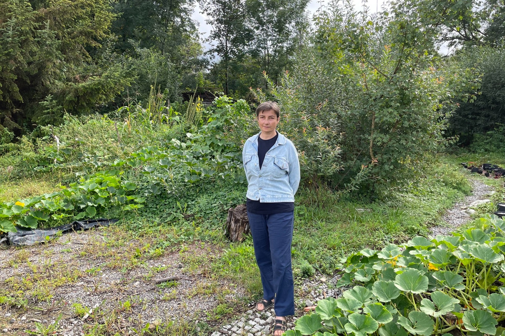 Rostliny jsou společenské a navzájem se podporují, říká průkopnice vertikálních zahrad v Česku Zuzana Klusová