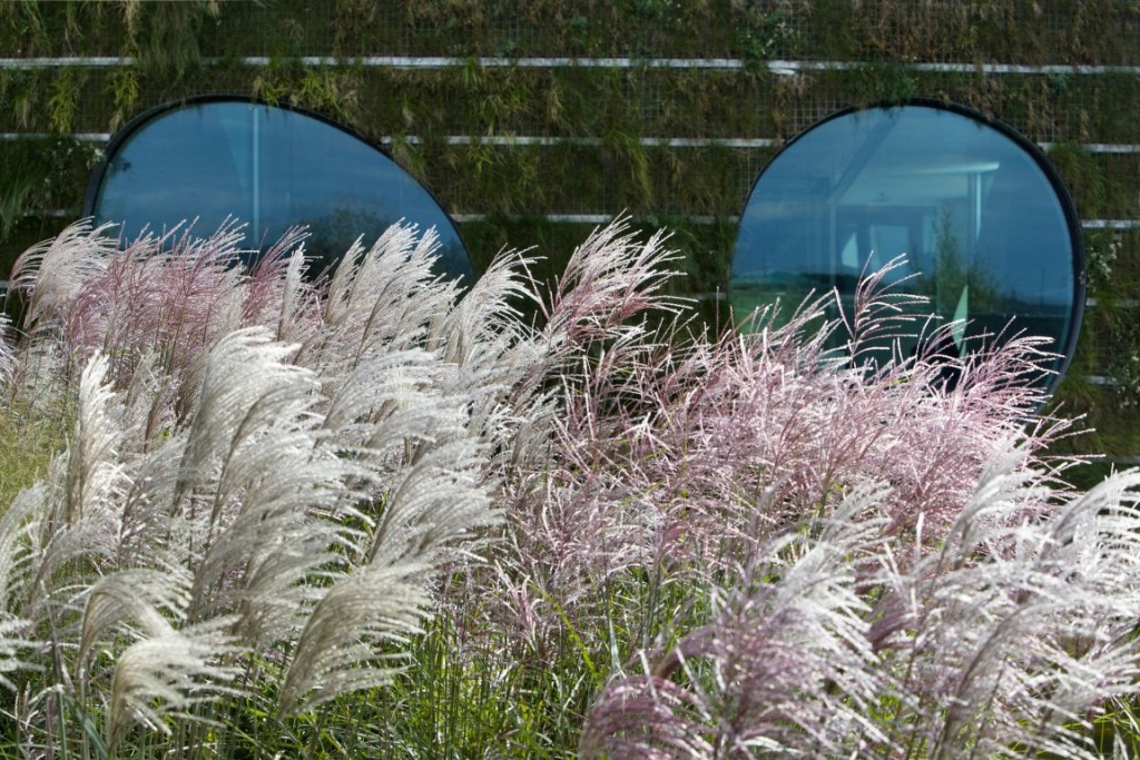 Cesta k ekologičtějšímu bydlení: co změní rok 2020?