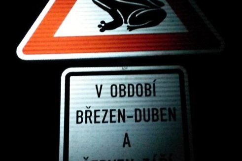 Malý krok pro lidstvo, velký skok pro migrující žebětínské žáby