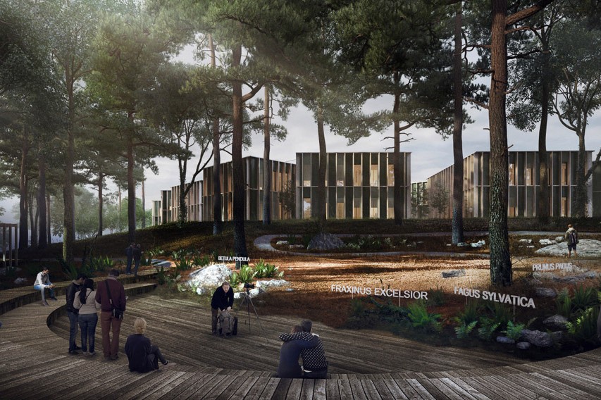 Kancelářská krajina od studia Chybík+Krištof pro Lesy ČR