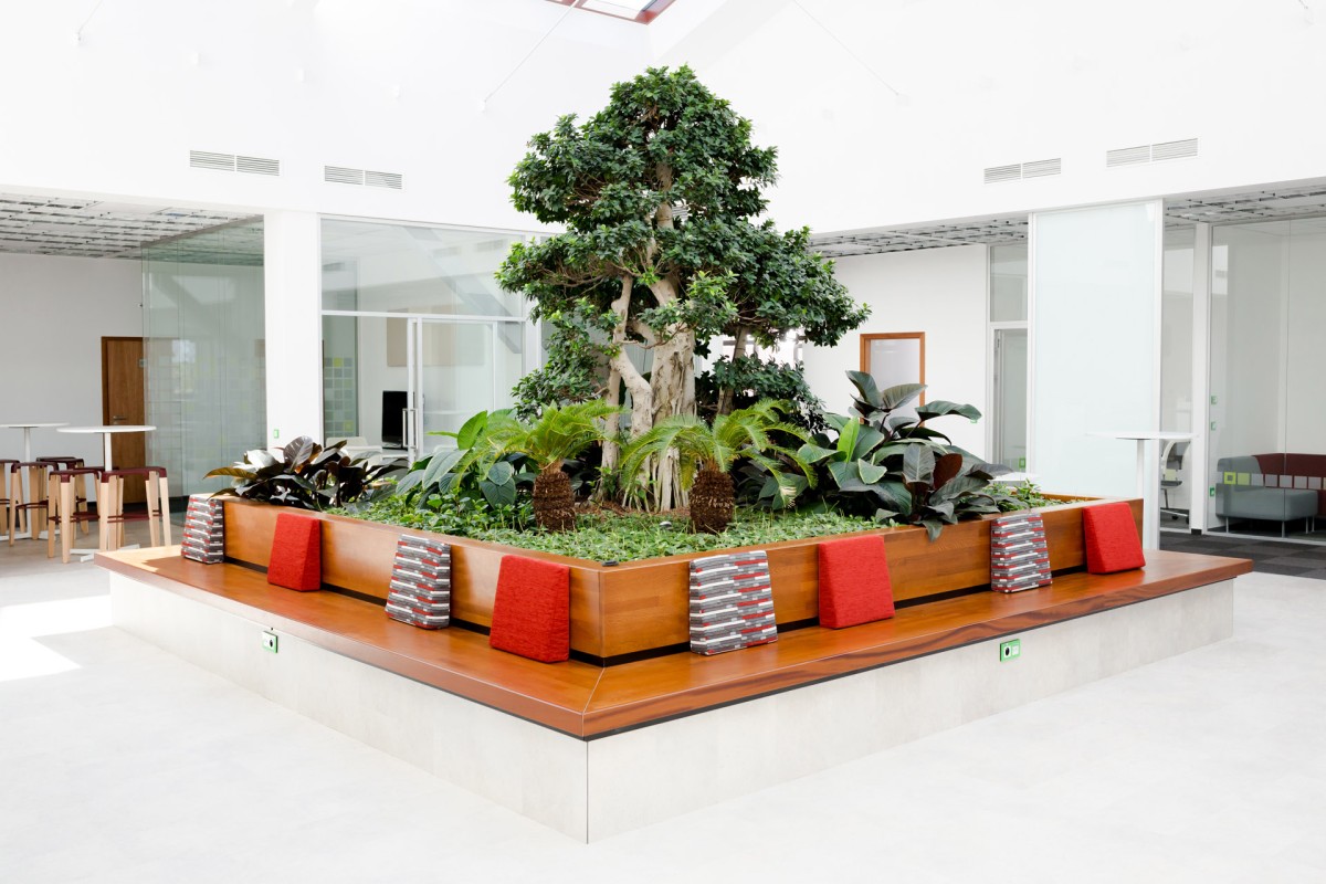 WORKSHOP: Zdravé vnitřní prostředí kanceláří jako konkurenční výhoda