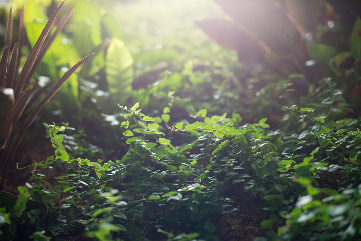 Workshop: hospodaření s vodou nejen v domě