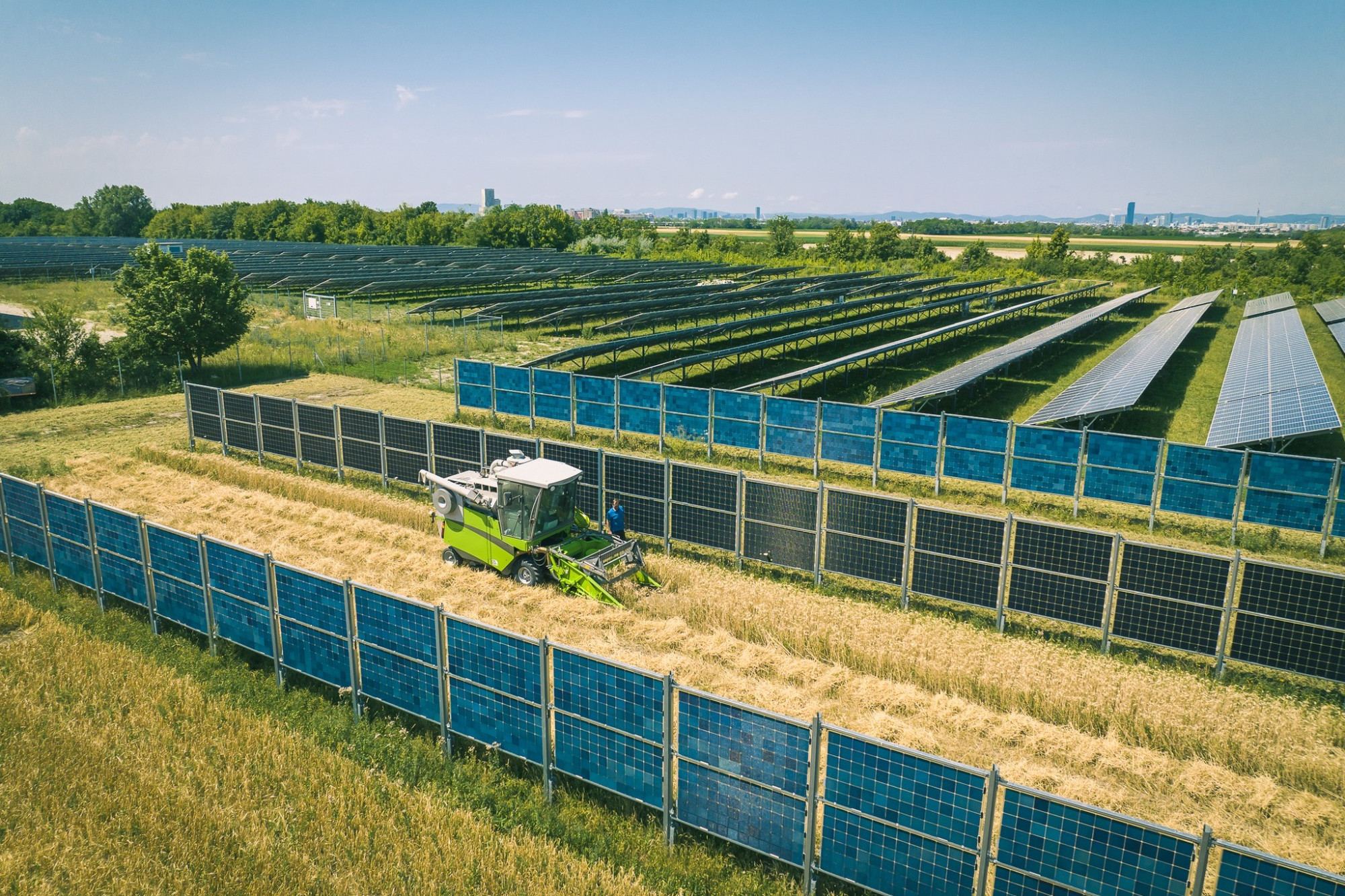 Agrovoltaika je pro zemědělce příležitost stát se solárbarony