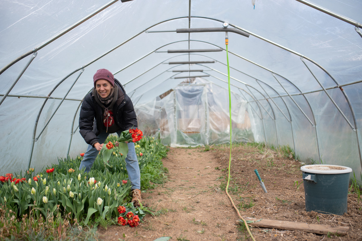 Květomluvy: Farmář-florista je v první řadě podnikatel. Nemůže se dočkat, až vypěstované květiny nastříhá, říká Jana Pospíšková alias Řezanka