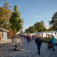 Rekonstrukce tržiště Pod kaštany ve Zlíně, ellement architects