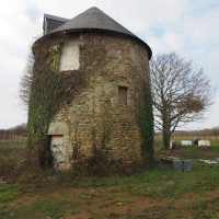 Carmen Maurice Architecture