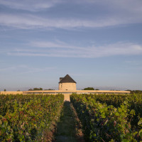 Foto Guillaume Amat