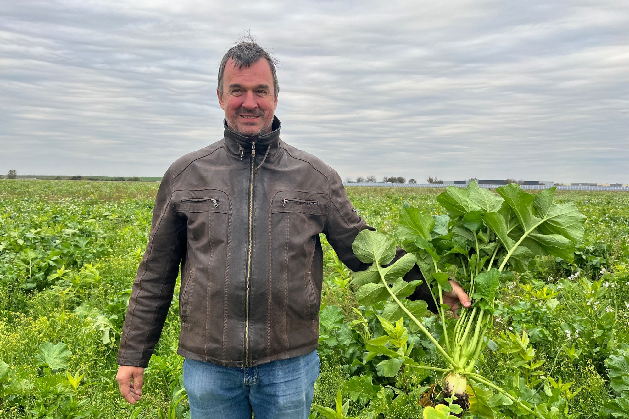 Bez hlubokého zpracování půdy nepotřebujeme tolik průmyslových hnojiv, říká o regenerativním zemědělství Rostislav Mátl z DVP Agro