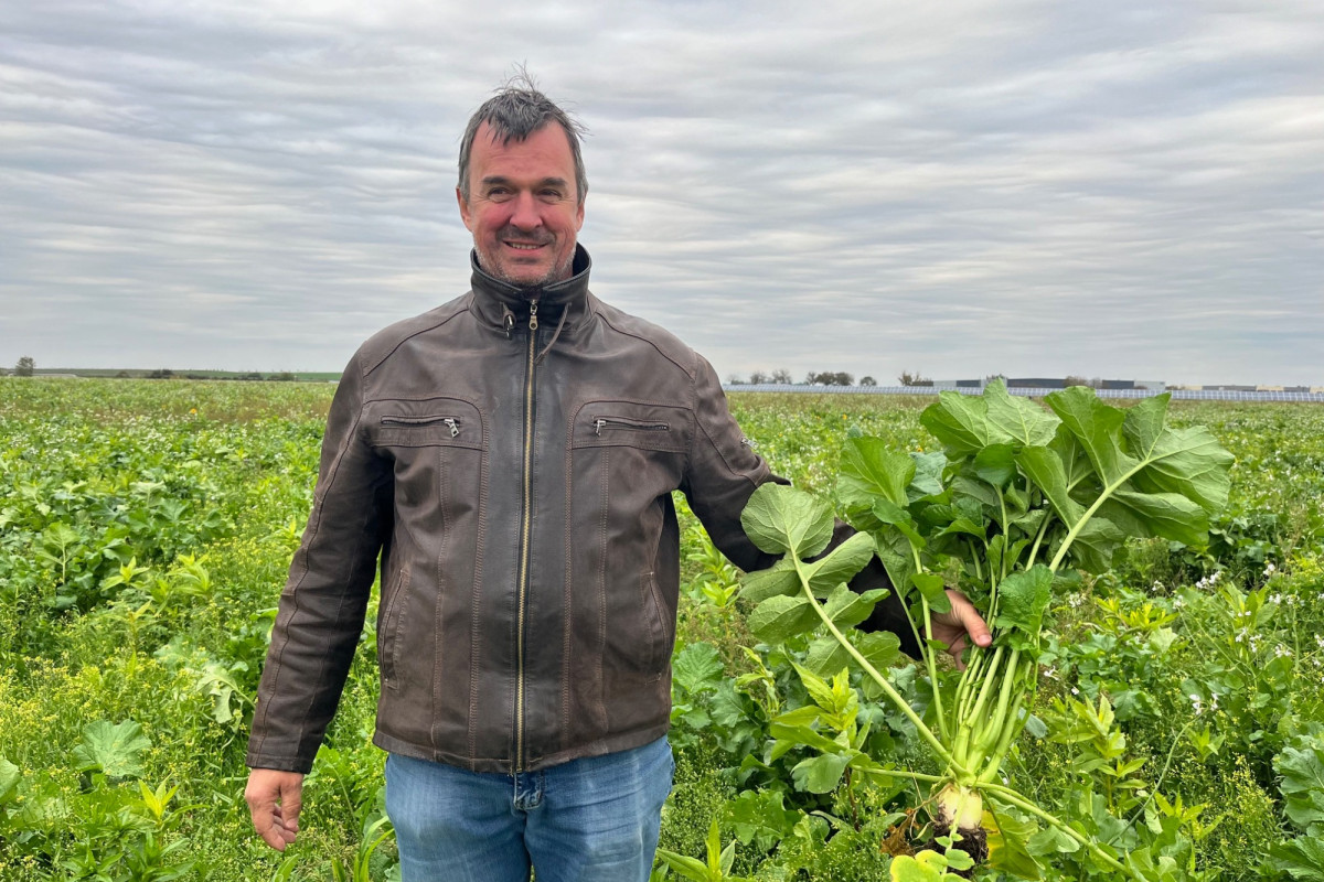 Bez hlubokého zpracování půdy nepotřebujeme tolik průmyslových hnojiv, říká o regenerativním zemědělství Rostislav Mátl z DVP Agro
