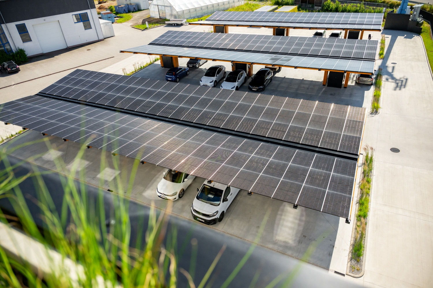 Mezi hrdiny klimatické odolnosti se probojoval park, kino nebo vodojem, veřejnost určí cenu sympatie