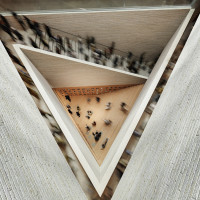 JKMM Architects