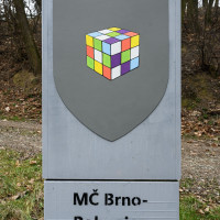 TIMO