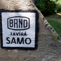 TIMO