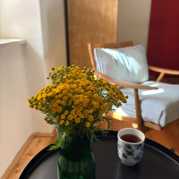 Foto Nádraží Kovářská, z. s. 