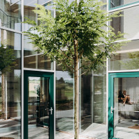 Foto Karen Van der Biest