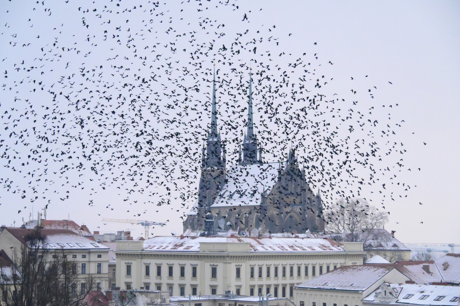 Máme fascinující přírodní zákoutí, kde bychom je vůbec nečekali, říká o festivalu Havranec Dana Nováková