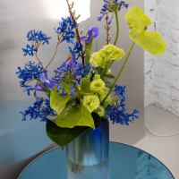 JP_novinky_0226-9195