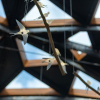 Foto Jiří Hloušek