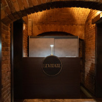 LEVITATE3